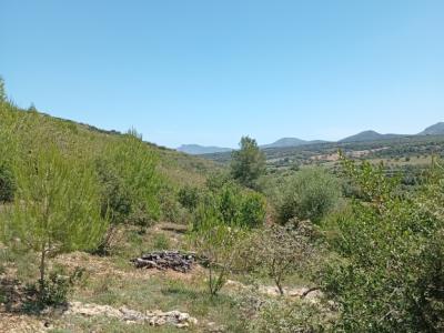 Pequeña finca con fantásticas vistas y tranquilidad