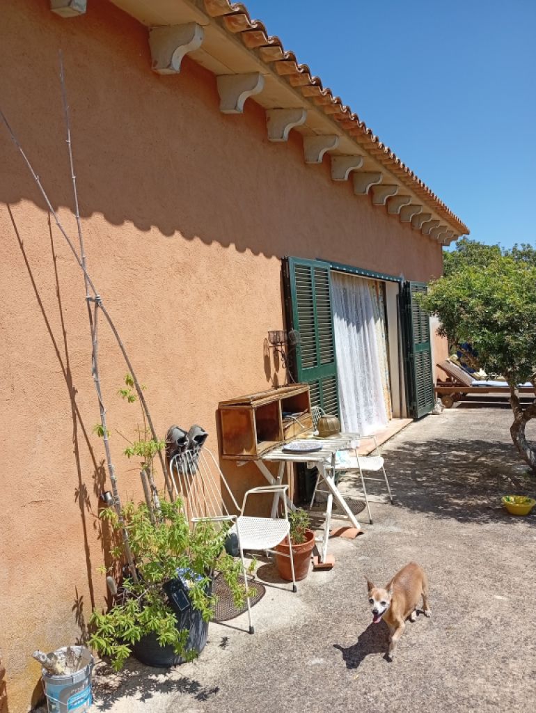Pequeña finca con fantásticas vistas y tranquilidad