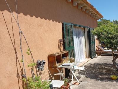 Pequeña finca con fantásticas vistas y tranquilidad