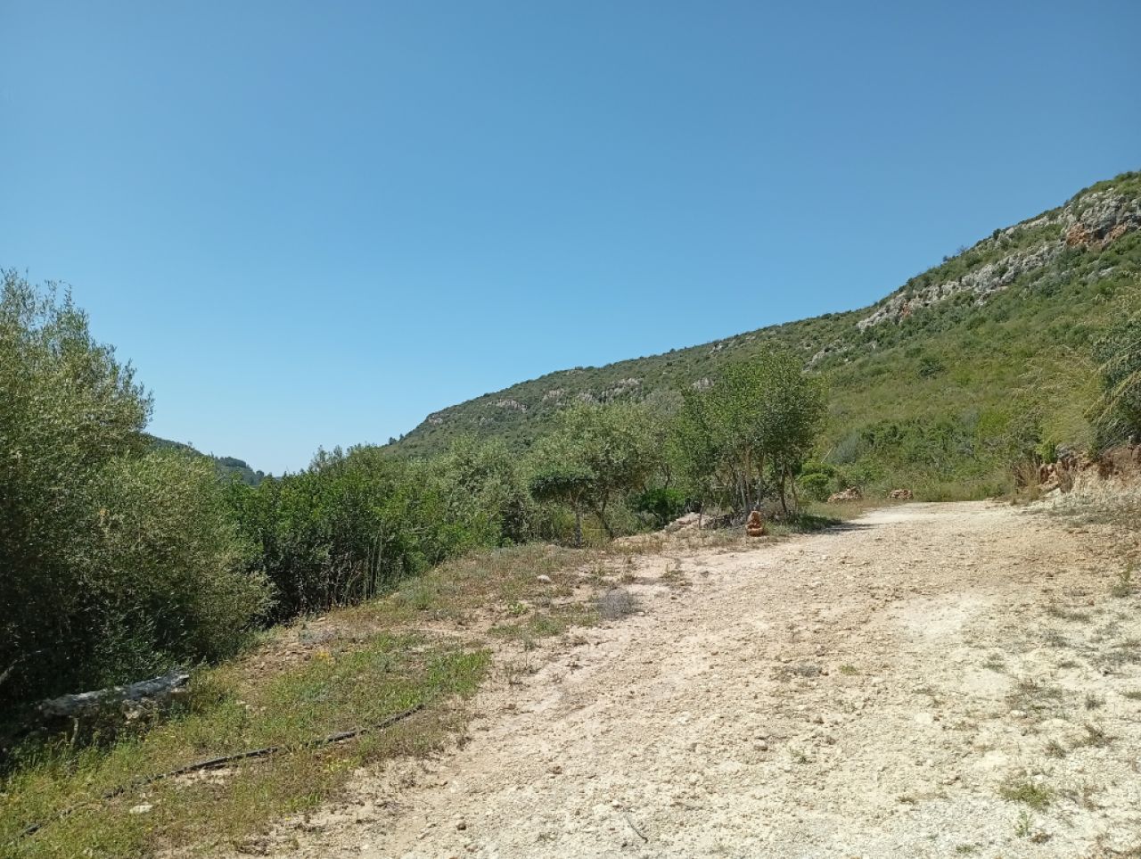 Pequeña finca con fantásticas vistas y tranquilidad