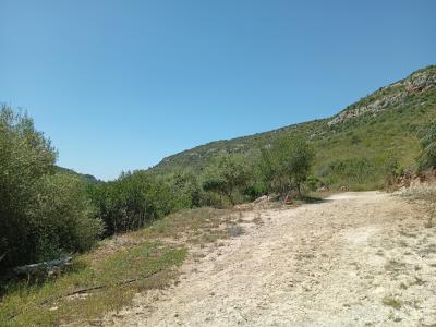 Pequeña finca con fantásticas vistas y tranquilidad