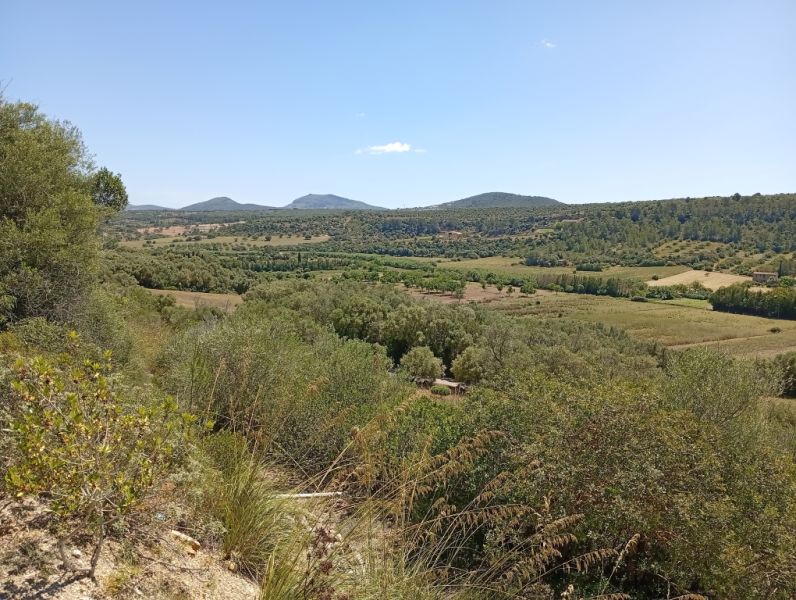 Pequeña finca con fantásticas vistas y tranquilidad