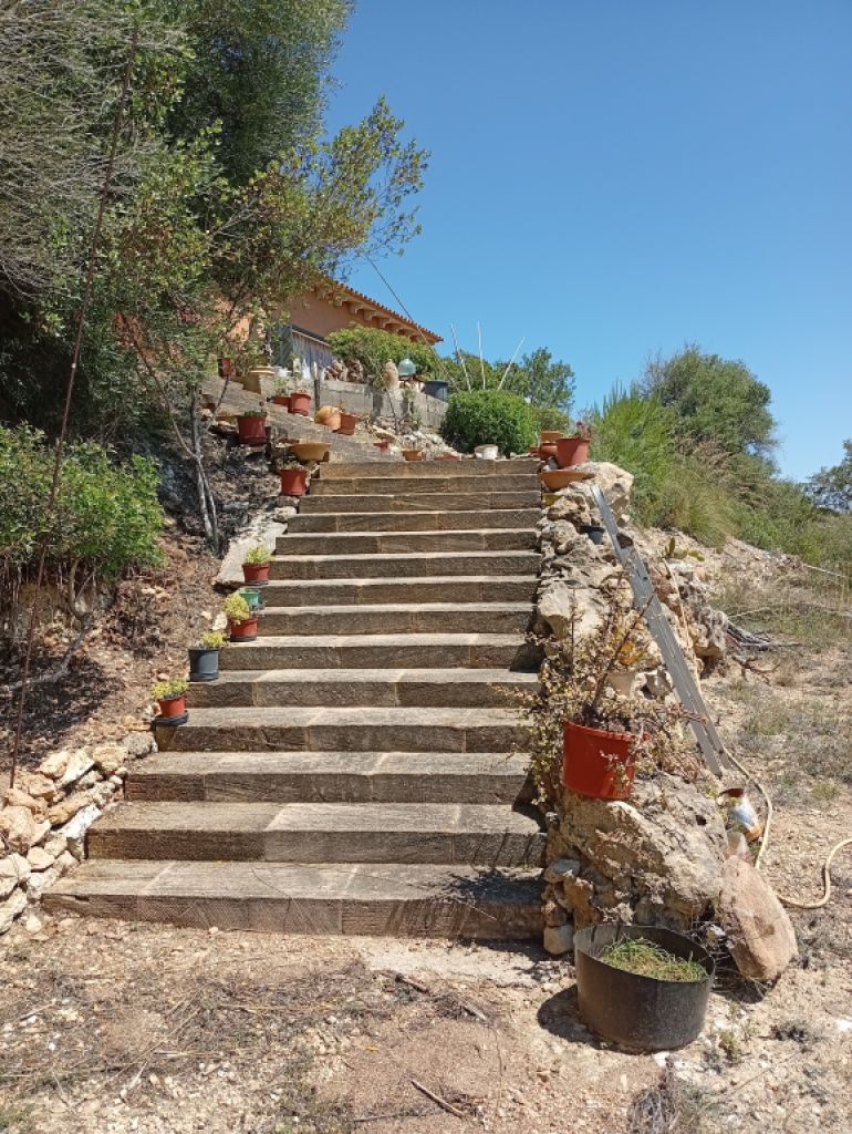 Pequeña finca con fantásticas vistas y tranquilidad