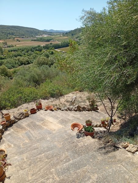Pequeña finca con fantásticas vistas y tranquilidad