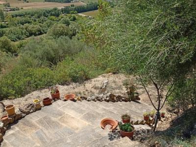 Pequeña finca con fantásticas vistas y tranquilidad