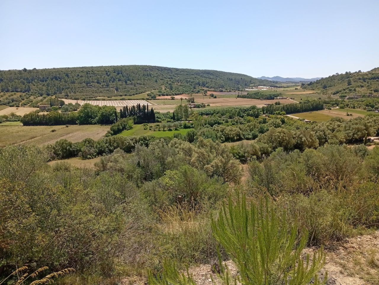 Pequeña finca con fantásticas vistas y tranquilidad