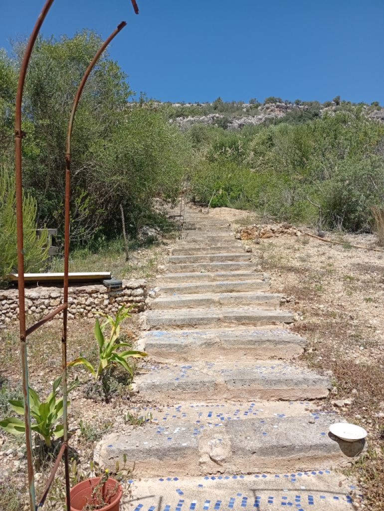 Pequeña finca con fantásticas vistas y tranquilidad