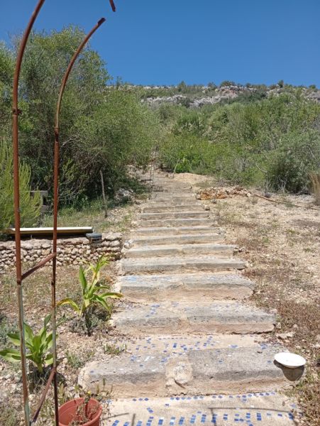 Pequeña finca con fantásticas vistas y tranquilidad