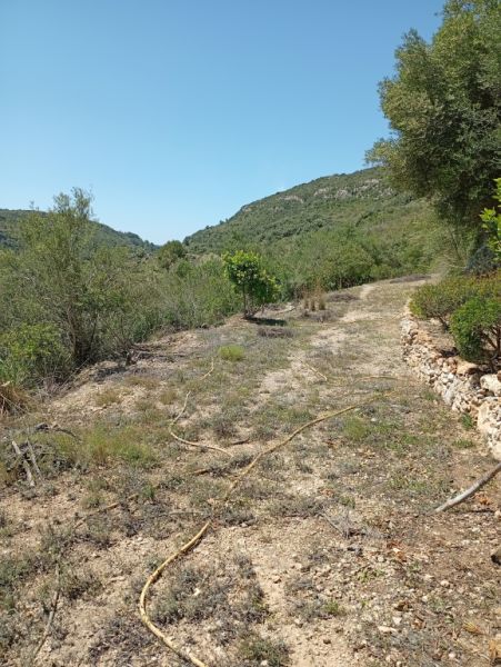 Pequeña finca con fantásticas vistas y tranquilidad