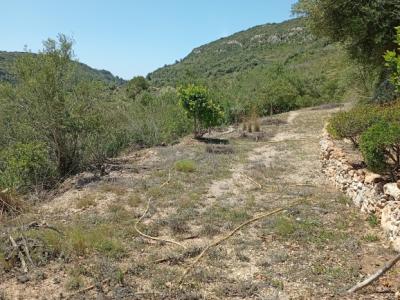 Pequeña finca con fantásticas vistas y tranquilidad