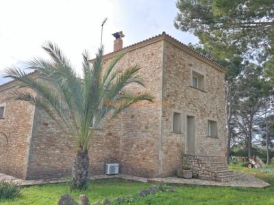 Excelente ubicación cerca de Cala sa Nou — finca para alquiler a largo plazo