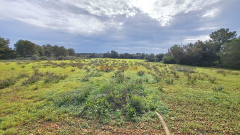 Excelente ubicación cerca de Cala sa Nou — finca para alquiler a largo plazo