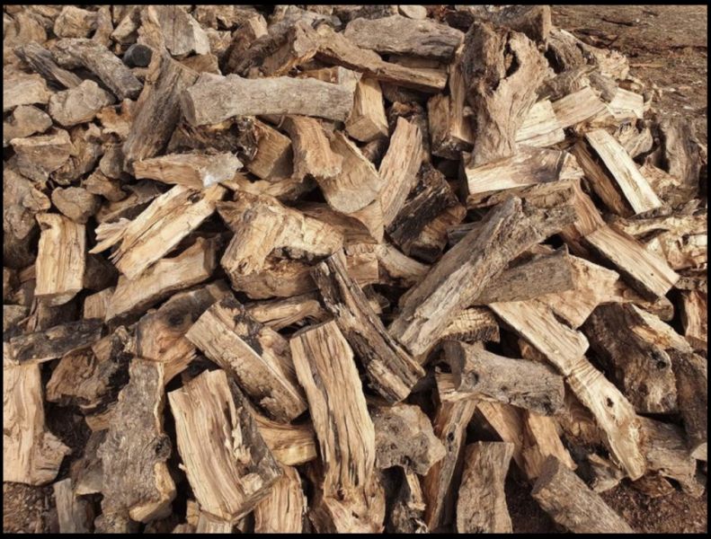 Top Mandelholz Kaminholz trocken !!!