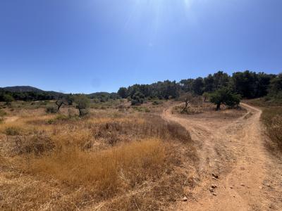 Traumgrundstück mit Basisprojekt inmitten der Natur bei Es Carrixto- Felanitx