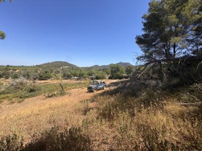Traumgrundstück mit Basisprojekt inmitten der Natur bei Es Carrixto- Felanitx