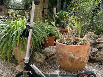 Tretroller Faltbar mit grossen Rädern