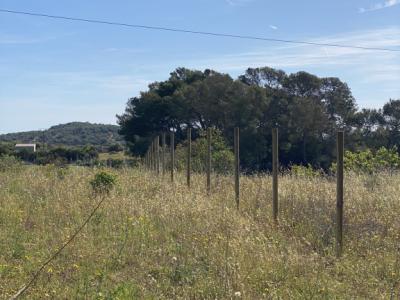 cercados vallado cerramiento de fincas