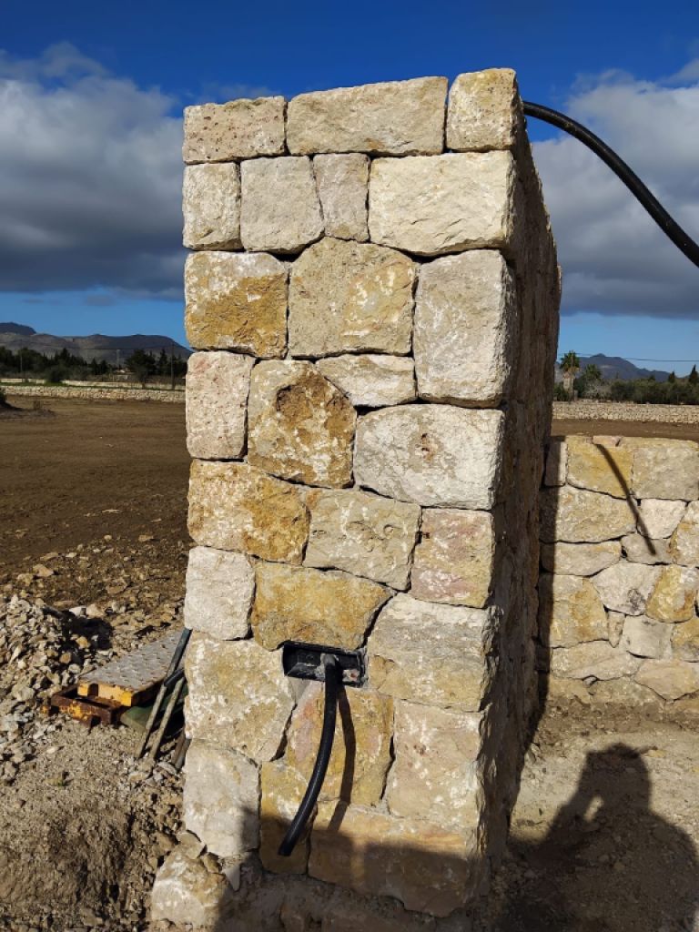 reformas constitucionales piedra