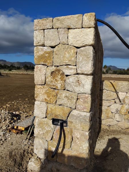 reformas constitucionales piedra