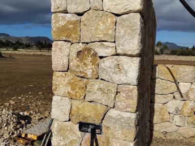 reformas constitucionales piedra