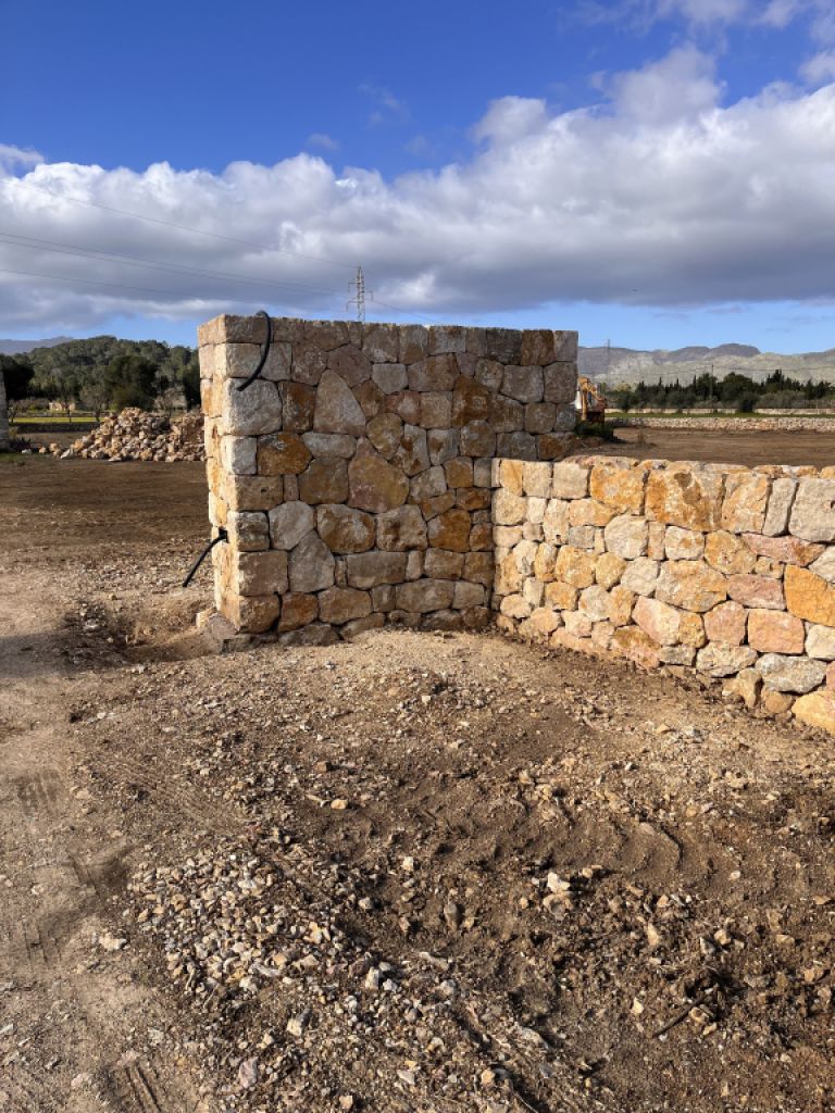 reformas constitucionales piedra