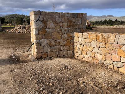 reformas constitucionales piedra