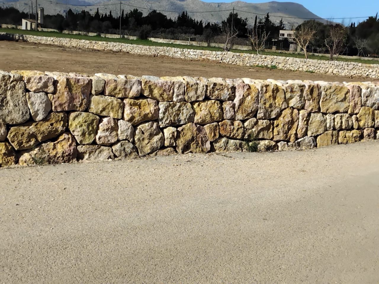 reformas constitucionales piedra