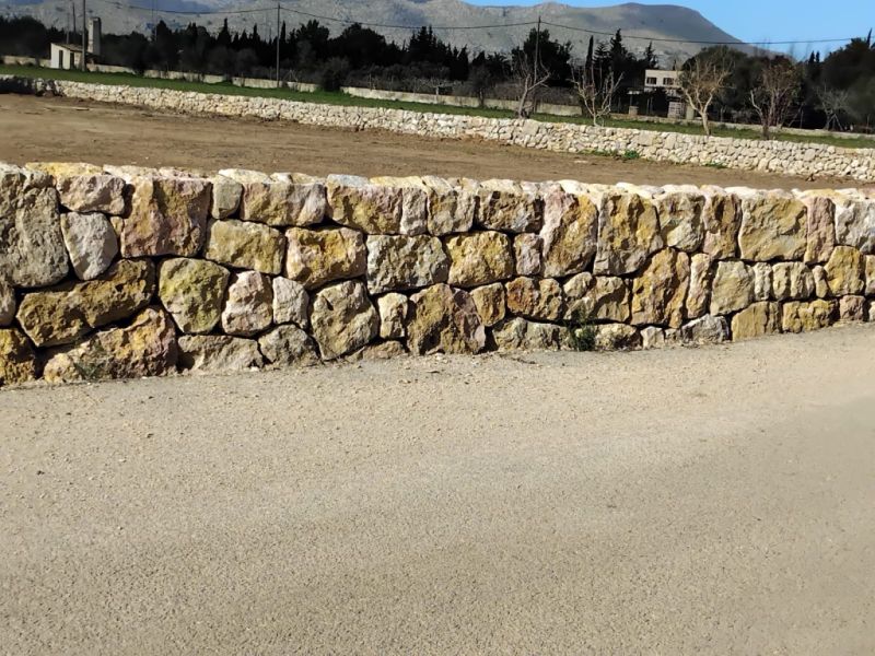 reformas constitucionales piedra