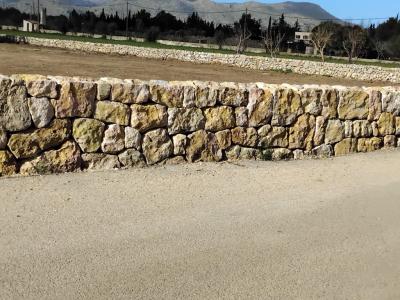 reformas constitucionales piedra