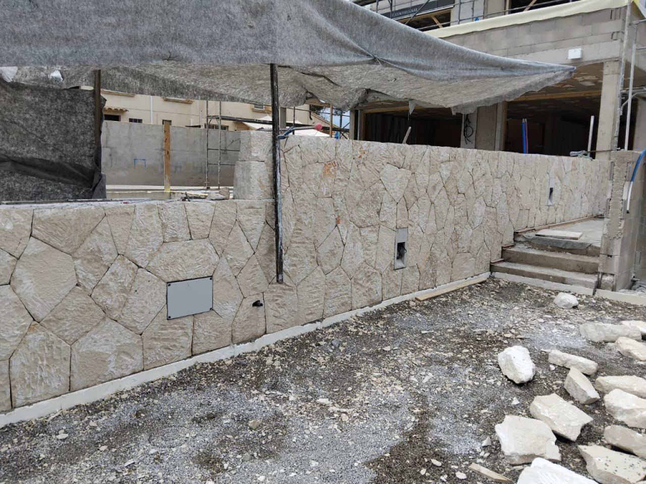 reformas constitucionales piedra