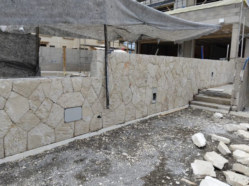 reformas constitucionales piedra