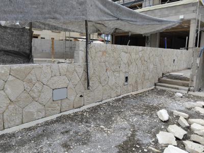 reformas constitucionales piedra