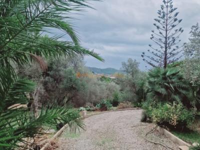Verkauf eines schönen Landhauses in Capdepera – Naturnahe Umgebung