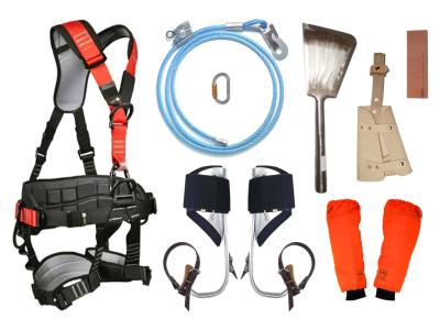 Venta de Equipamiento para la poda de Palmeras