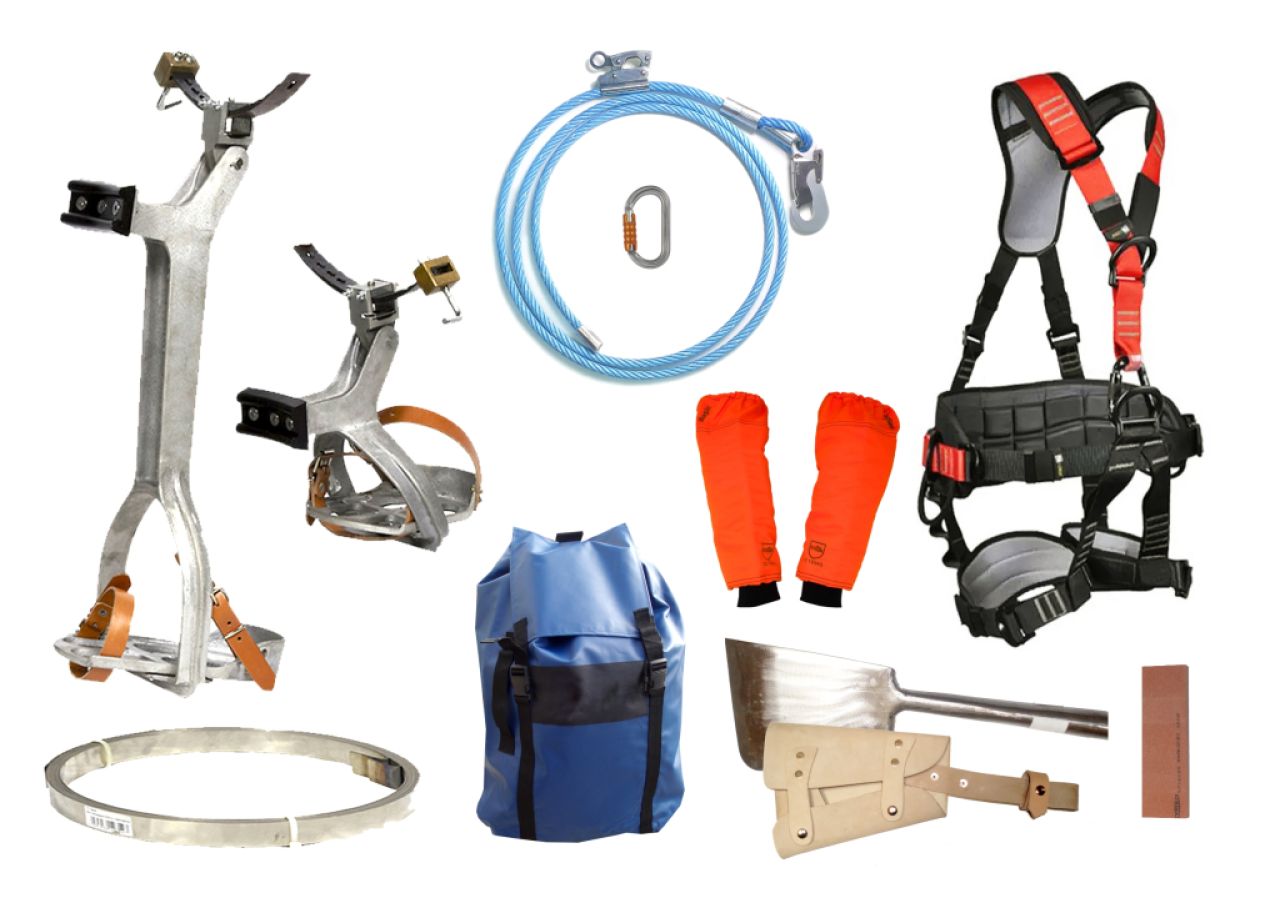 Venta de Equipamiento para la poda de Palmeras