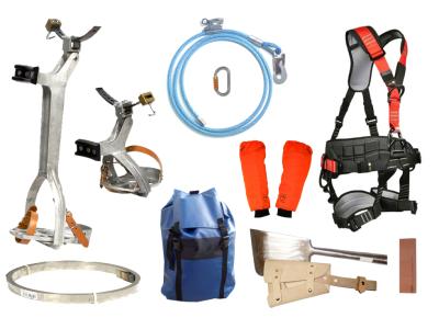 Venta de Equipamiento para la poda de Palmeras