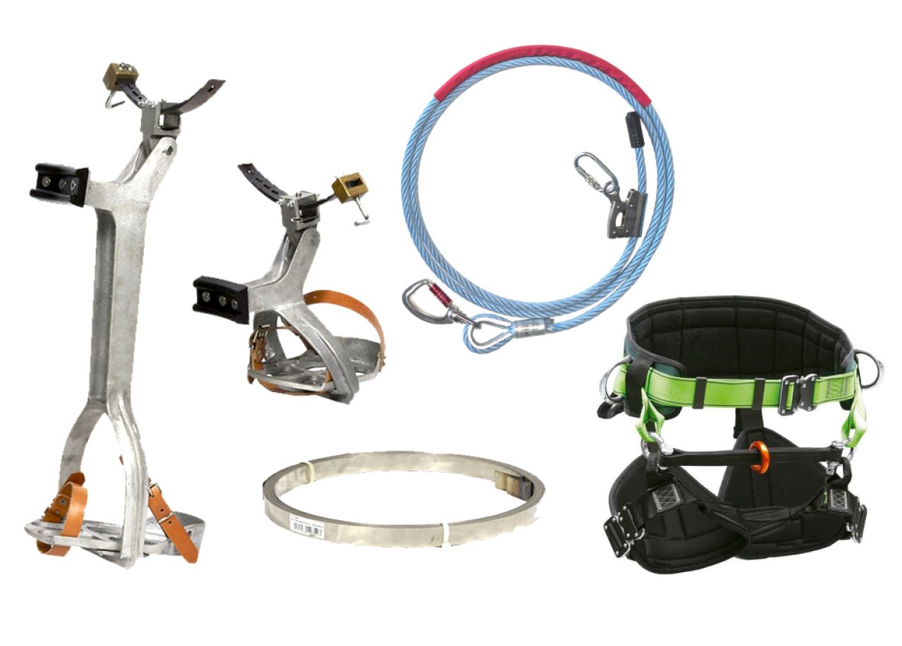 Venta de Equipamiento para la poda de Palmeras