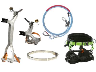 Venta de Equipamiento para la poda de Palmeras