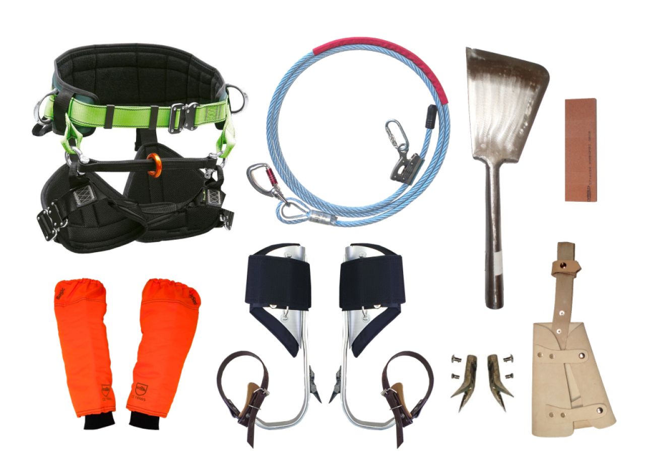 Venta de Equipamiento para la poda de Palmeras