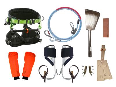 Venta de Equipamiento para la poda de Palmeras