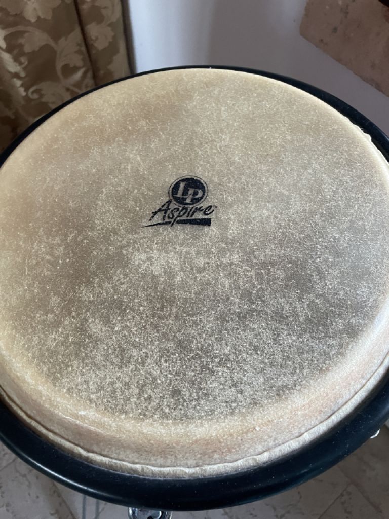 Vendo nuestras dos congas