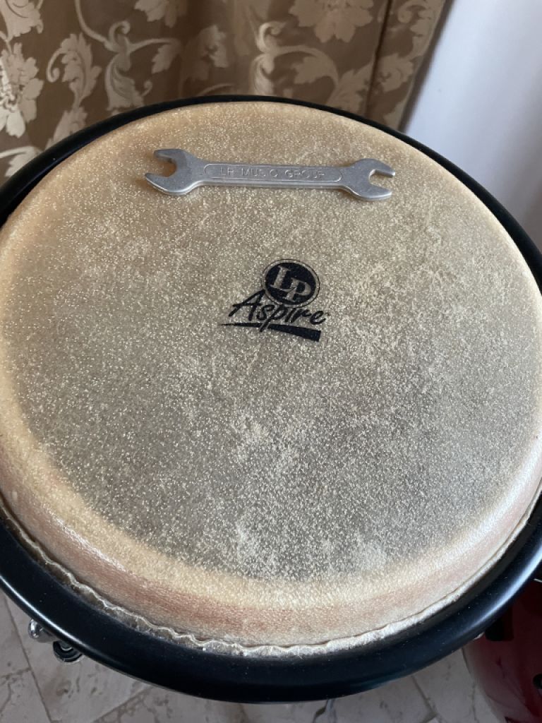 Vendo nuestras dos congas