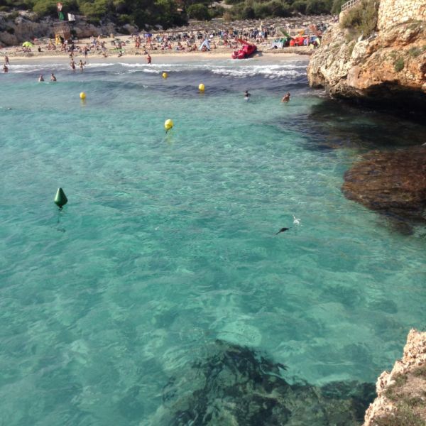 Vendemos nuestro hermoso apartamento en Cales de Mallorca