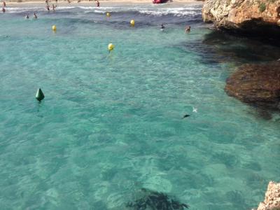 Vendemos nuestro hermoso apartamento en Cales de Mallorca