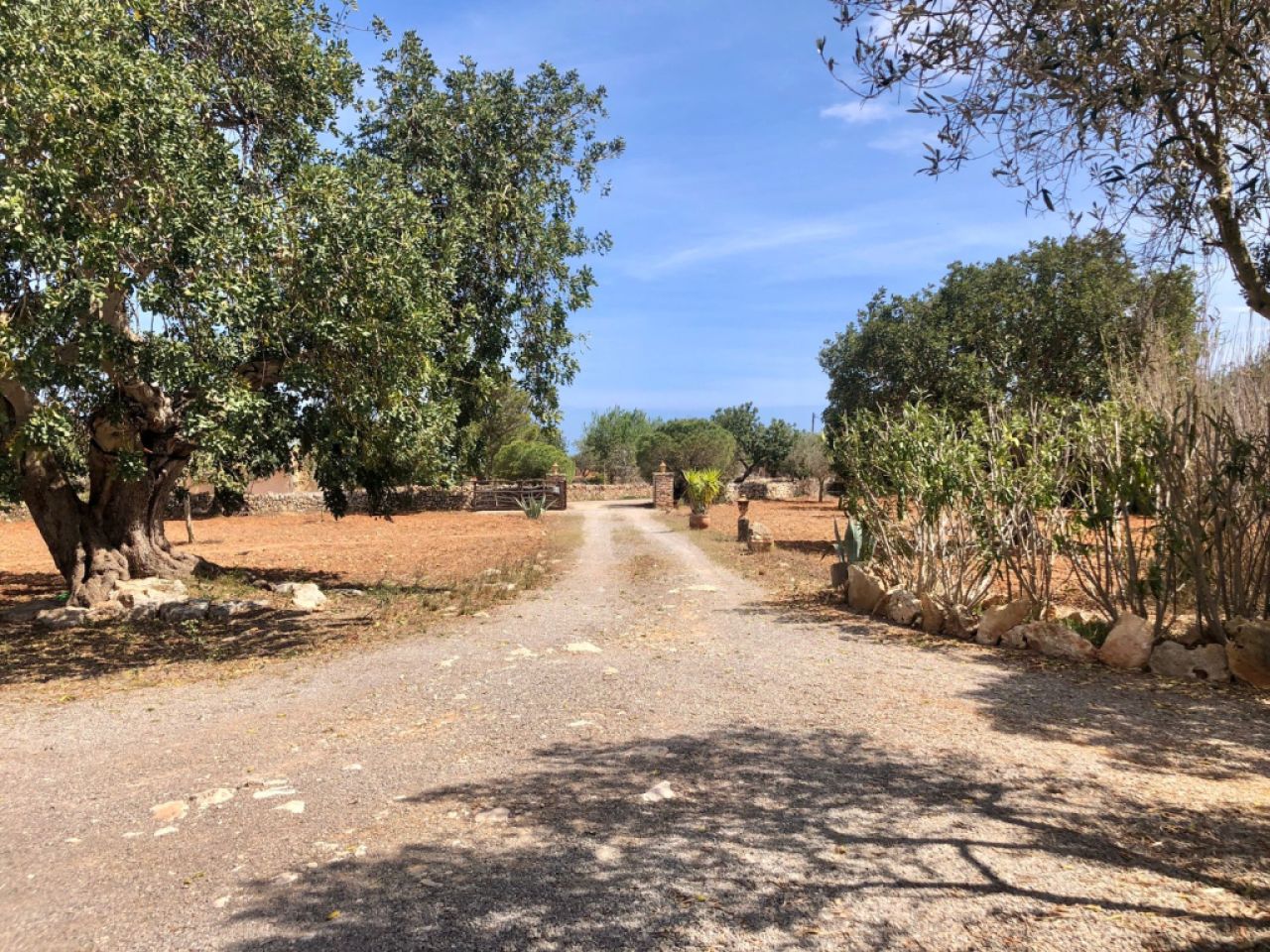 Vermietung einer rustikalen Finca mit Pool, 4 Schlafzimmern, nahe dem Meer, Alqueria Blanca
