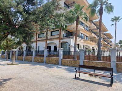 Alquiler de estudio en la playa