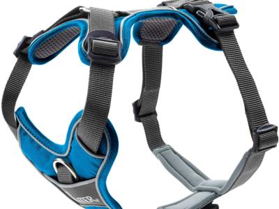 Verschiedene Hundekleidung und Accessoires