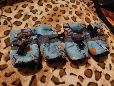 Verschiedene Hundekleidung und Accessoires