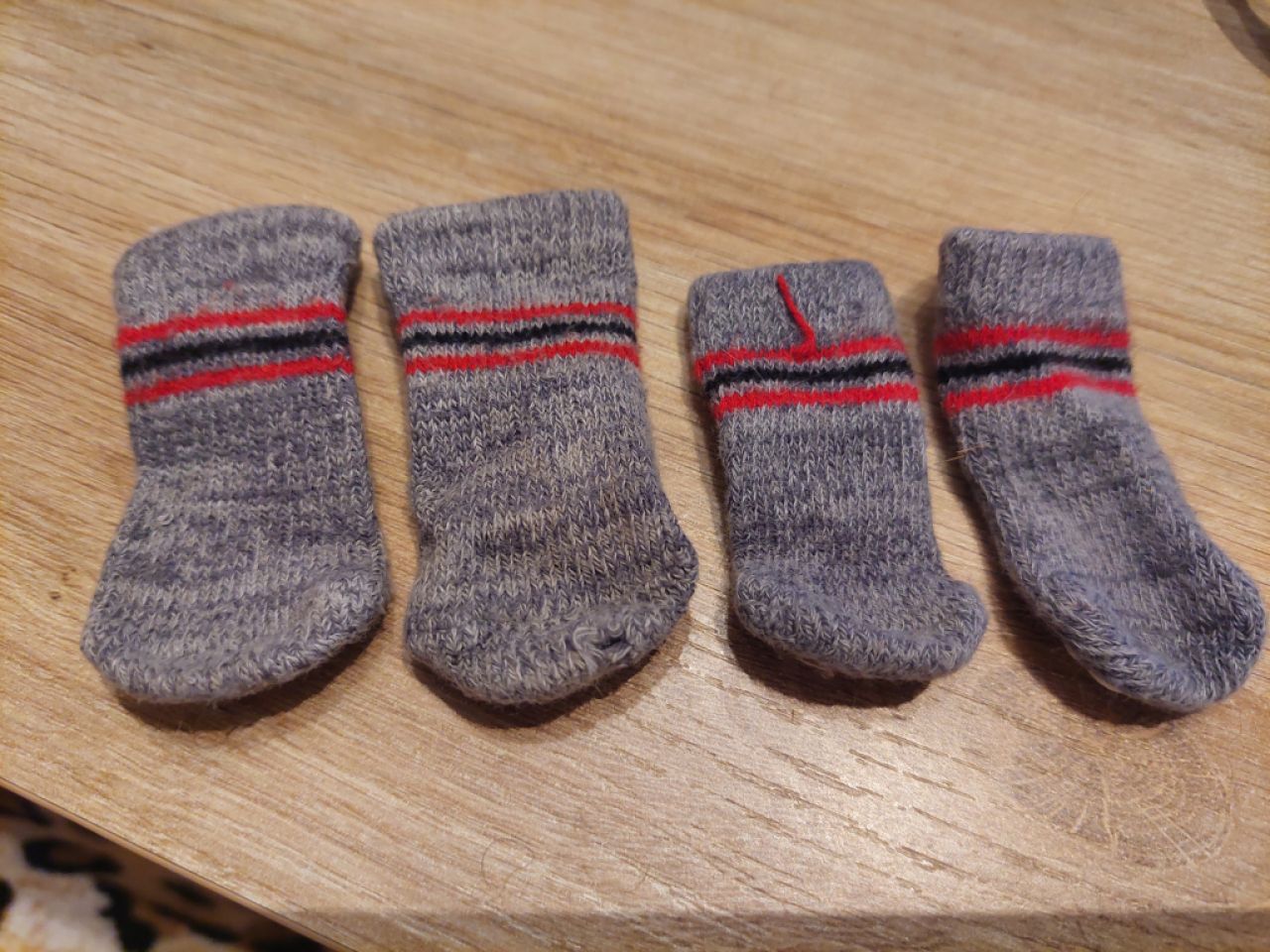 Verschiedene Hundekleidung und Accessoires