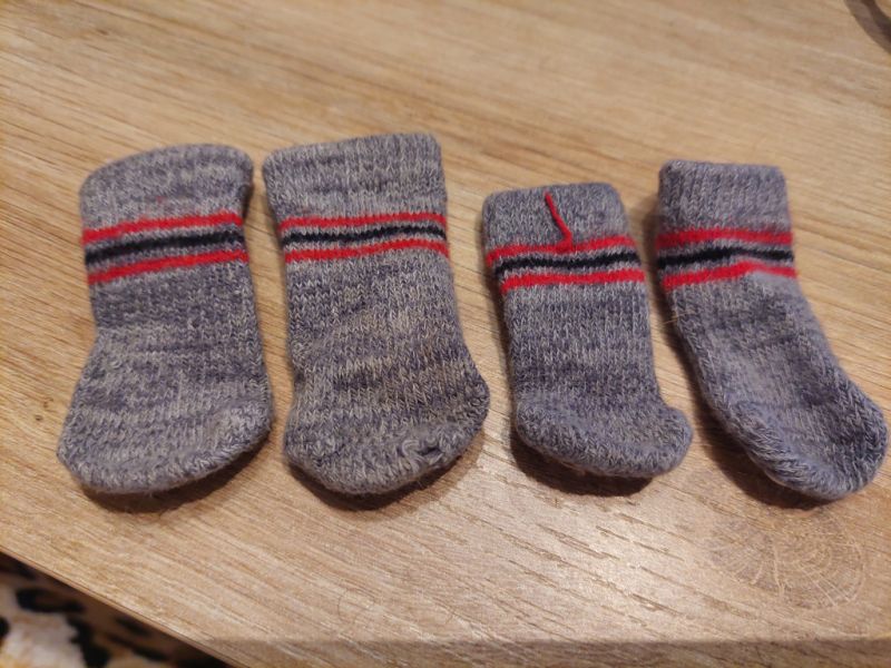 Verschiedene Hundekleidung und Accessoires